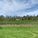 Pensjonat Garni Zum Rebstock 3*