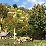 祖姆芮伯斯道克伽尼酒店 3* 萨勒河畔瑙姆堡