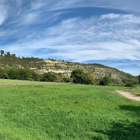 Garni Zum Rebstock 3* Νάουμπουργκ