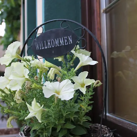 Penzion Garni Zum Rebstock Naumburg (Saale)