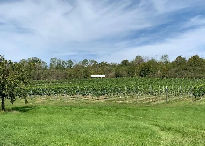 Гостевой дом Garni Zum Rebstock 3*