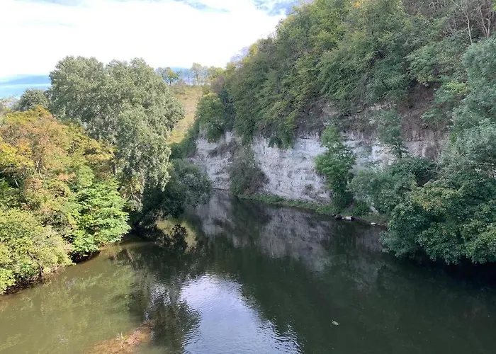 Garni Zum Rebstock 게스트하우스 나움부르크