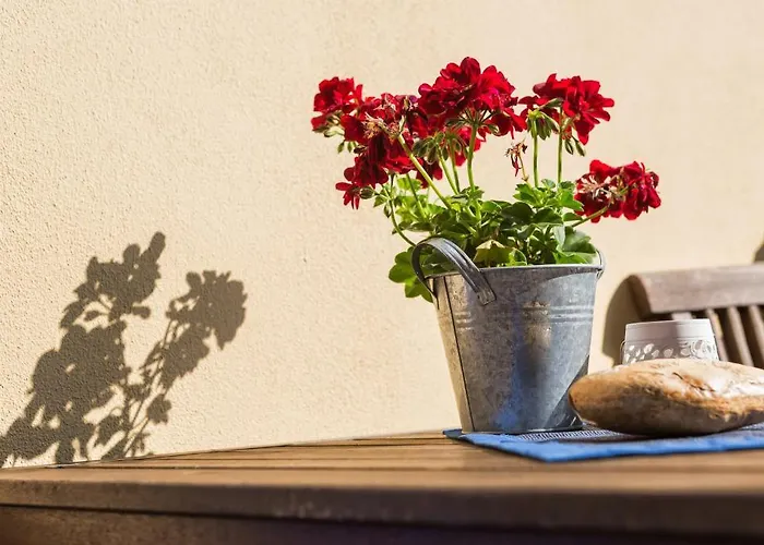 Гостевой дом Garni Zum Rebstock Наумбург