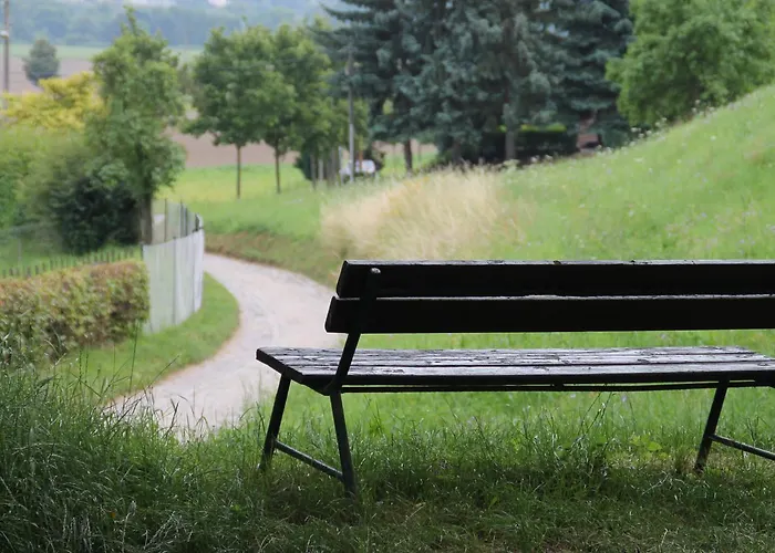 Garni Zum Rebstock 3* Наумбург