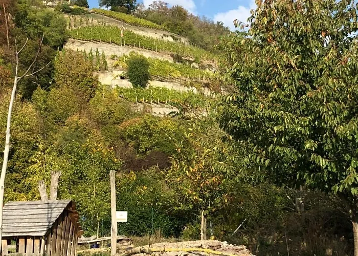 Garni Zum Rebstock 3* Naumburg (Saale)