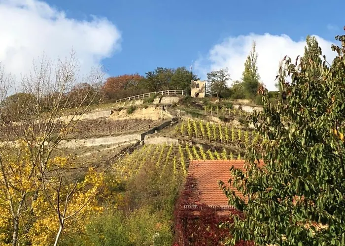 Garni Zum Rebstock 3* Наумбург